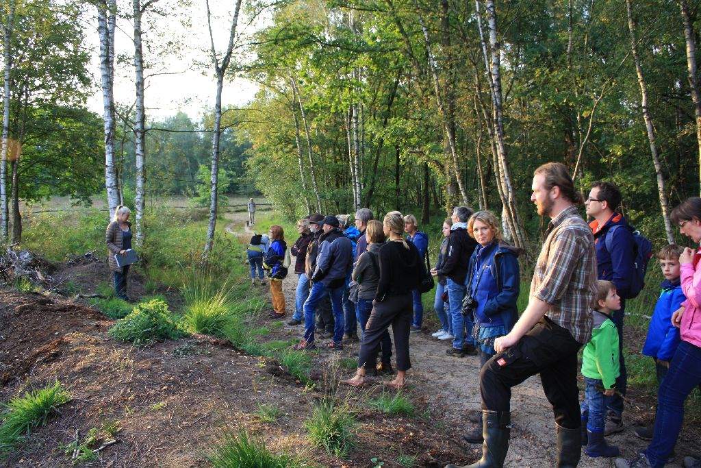 22.09.17: Naturschutzzentrum Coesfeld: Wanderung im Venner Moor – Von Schwämmen, Edelweiß und Klimawende (Bild: Gemeinde Senden) 22.09.17: Naturschutzzentrum Coesfeld: Wanderung im Venner Moor – Von Schwämmen, Edelweiß und Klimawende (Bild: Gemeinde Senden)