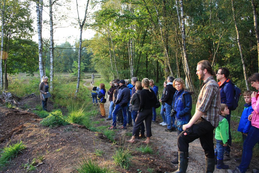 22.09.17: Naturschutzzentrum Coesfeld: Wanderung im Venner Moor – Von Schwämmen, Edelweiß und Klimawende (Bild: Gemeinde Senden)