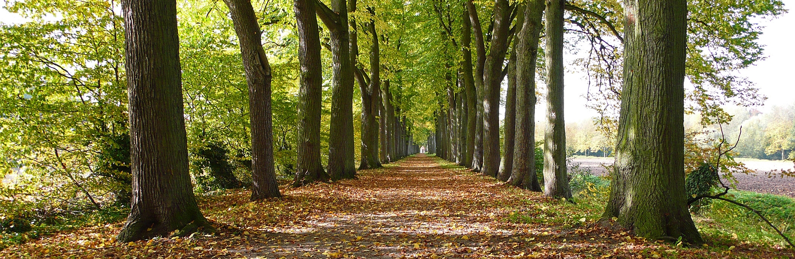 Bösensell senden stauverbrink 13 Senden