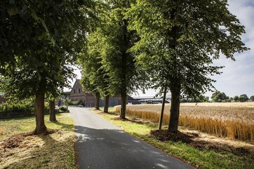 Allee zum Hof Holtrup