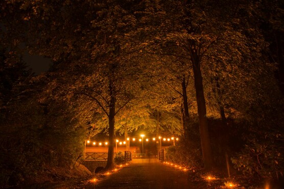 Lichterabend 2023 Blick in den Bürgerpark, eine mit Lampions beleuchtete Brücke