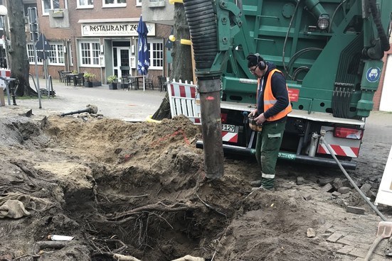 Freilegen der Wurzeln der alten Linden inkl. Schutz des Wurzelbereiches