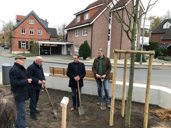 Der Rot-Ahorn erinnert an die Städtepartnerschaft zwischen Senden und Koronowo. 