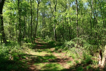 Venner Moor