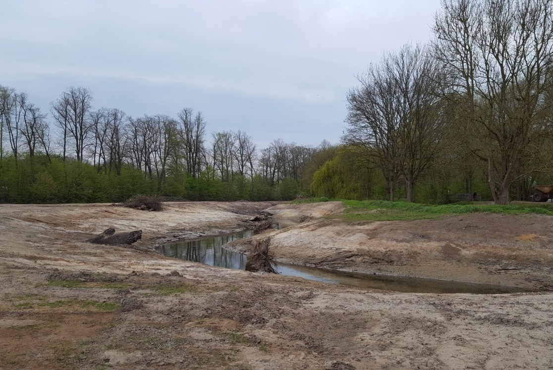 Neues Flussbett der Stever - mäandrierende und mit eingebrachtem Totholz.