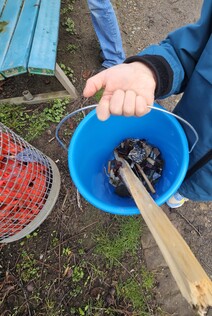 Was man nicht alles findet! - 2